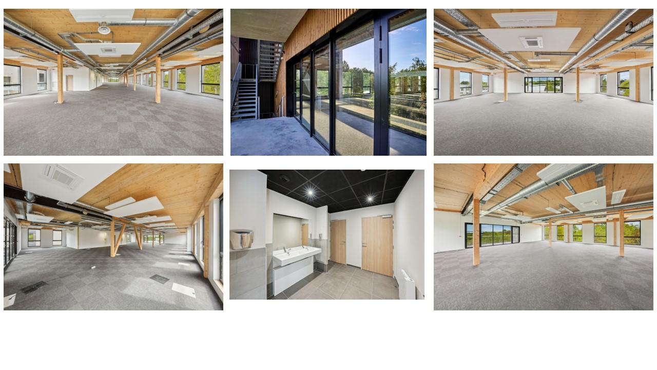 Bureau Mérignac 1515m² Location bureau Mérignac Gironde OLBUR2002364 14